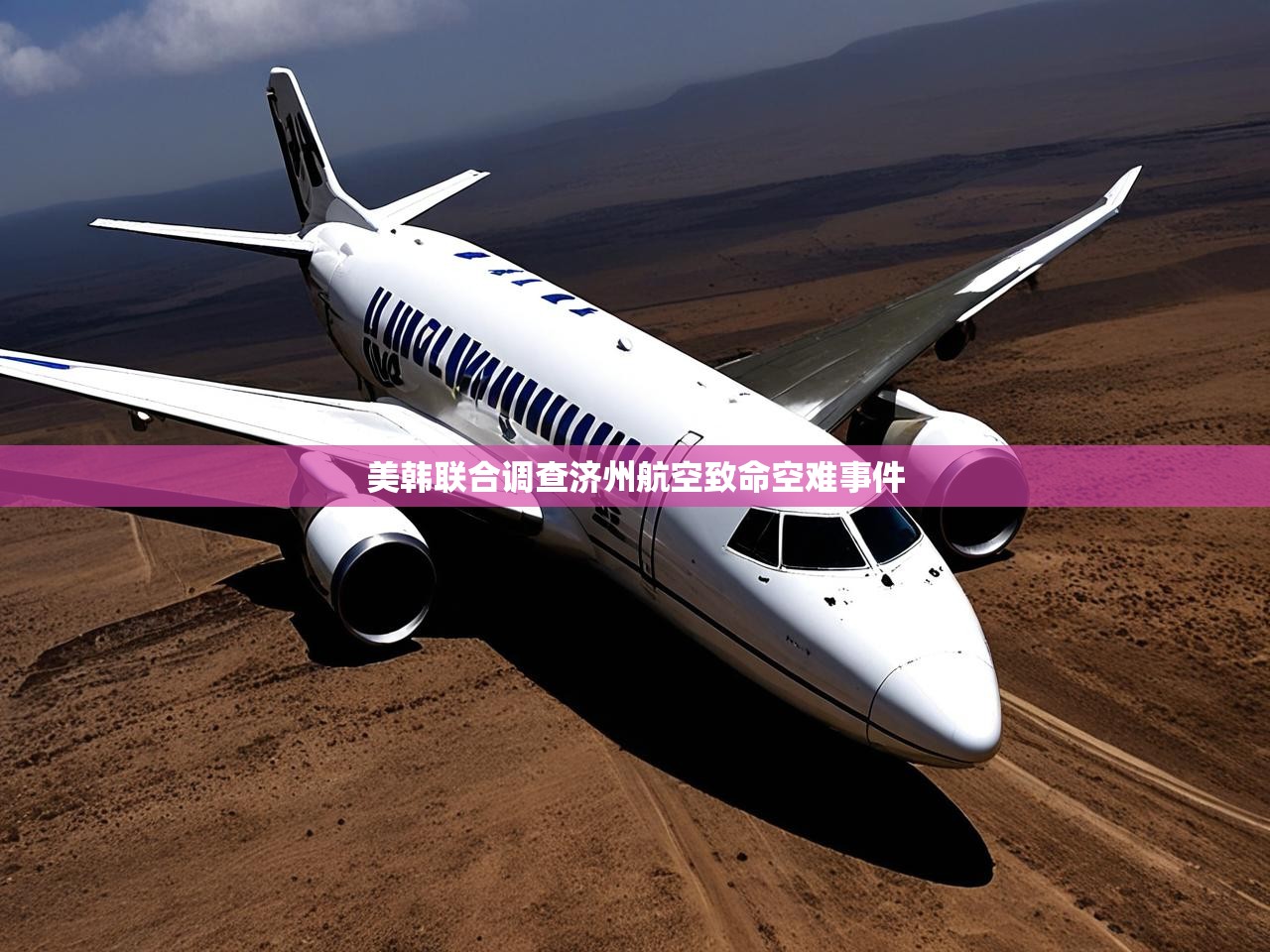 美韩联合调查济州航空致命空难事件