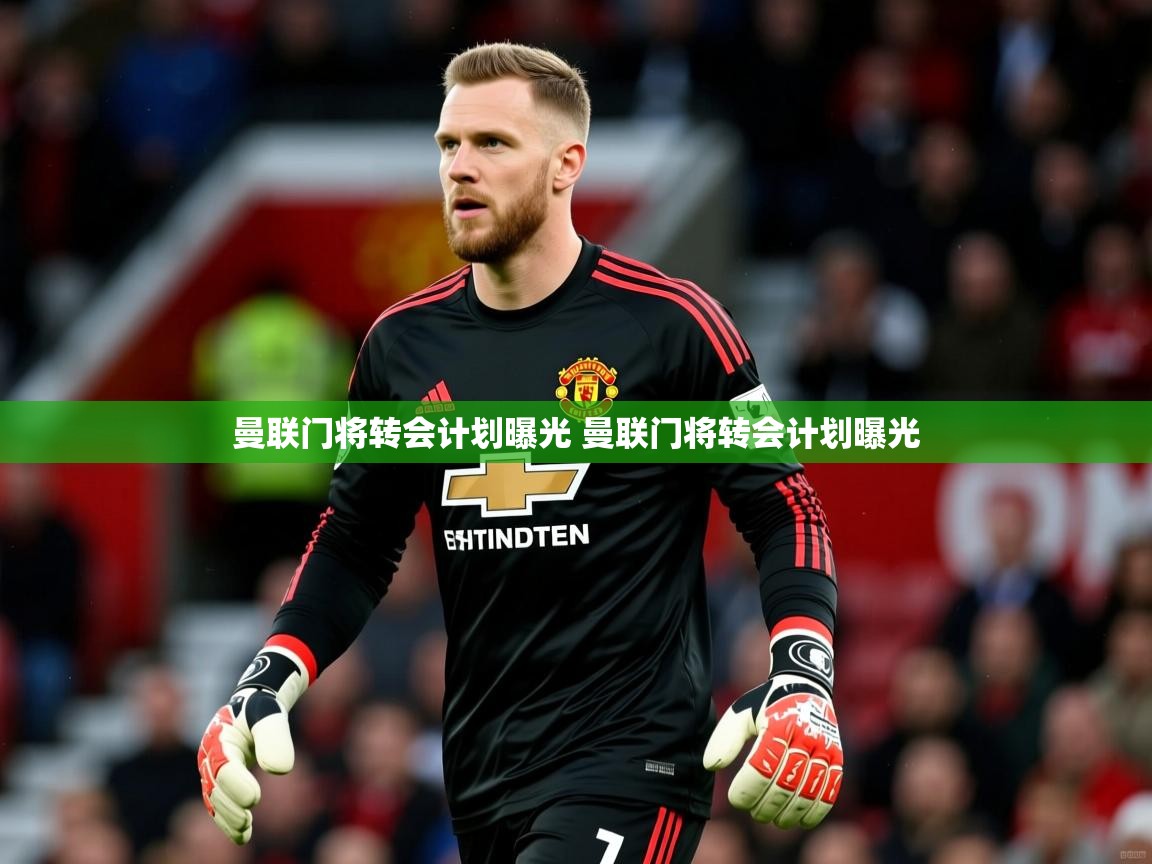 曼联门将转会计划曝光 曼联门将转会计划曝光
