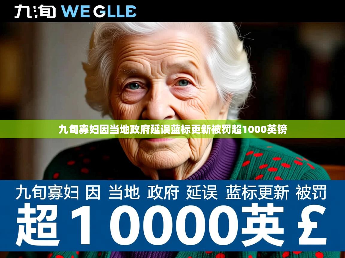 九旬寡妇因当地政府延误蓝标更新被罚超1000英镑