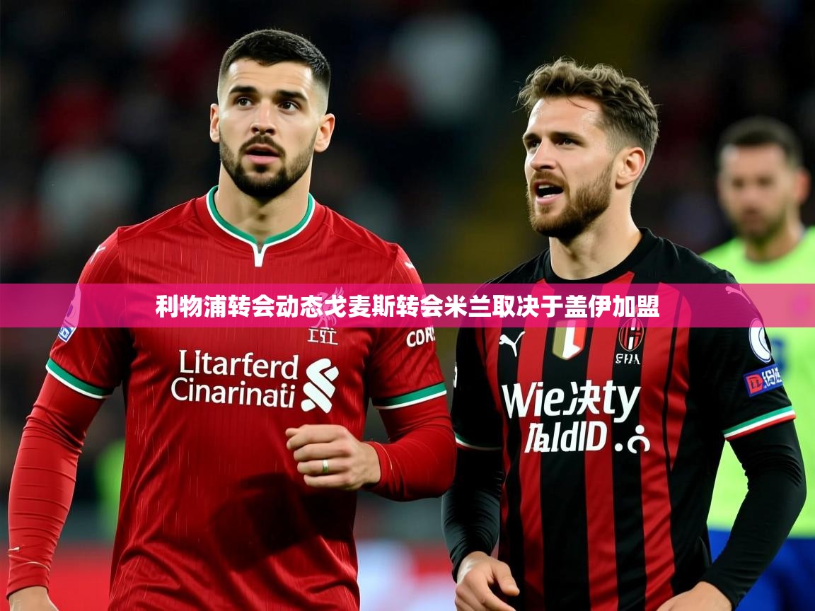 利物浦转会动态戈麦斯转会米兰取决于盖伊加盟