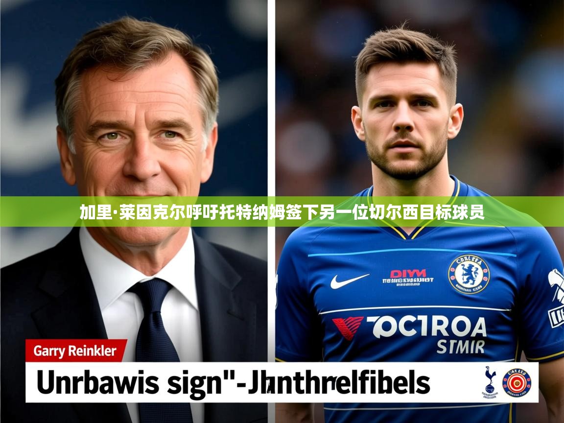 加里·莱因克尔呼吁托特纳姆签下另一位切尔西目标球员