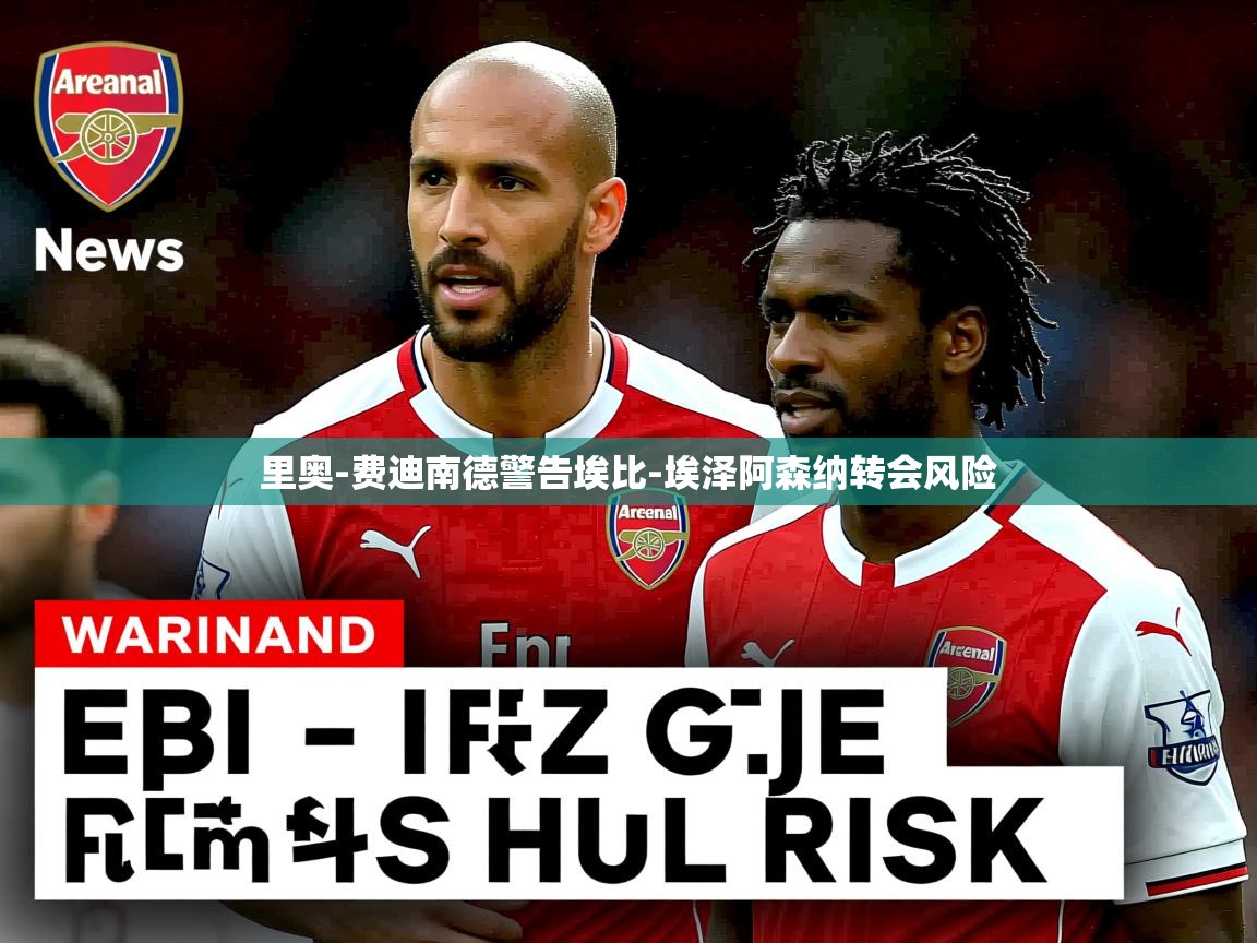 里奥-费迪南德警告埃比-埃泽阿森纳转会风险